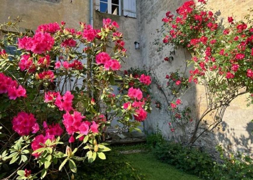 Nouvelle-Aquitaine Bazas 