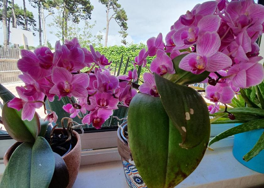 Nouvelle-Aquitaine Biscarrosse 