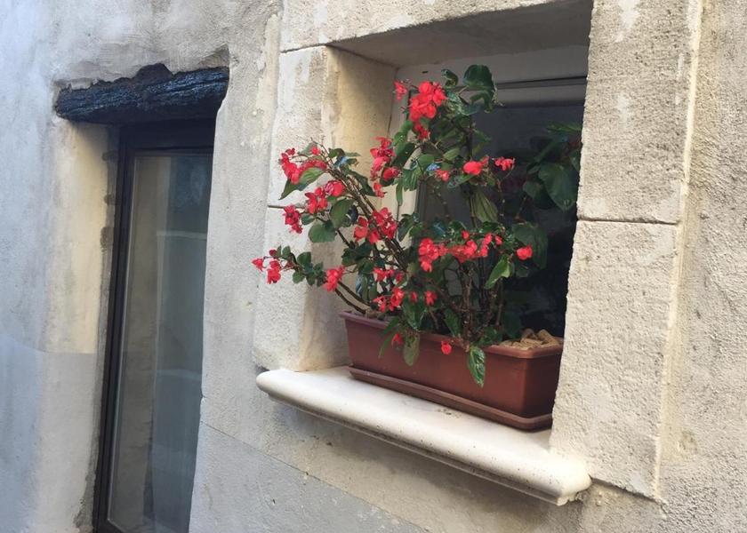 Provence-Alpes-Côte d'Azur Châteauneuf-du-Pape 