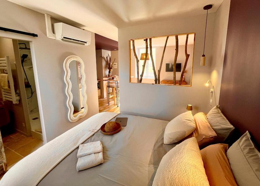 Auvergne-Rhone-Alpes Ecully Double Room with Private Bathroom