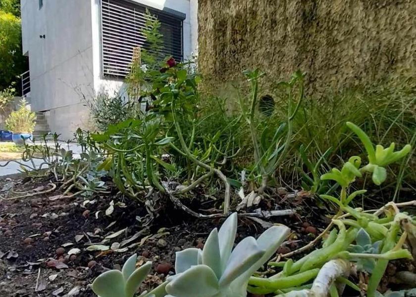 Auvergne-Rhone-Alpes Ecully 