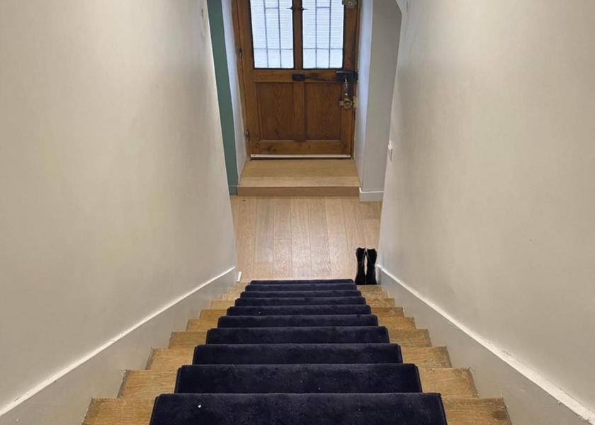 Auvergne-Rhone-Alpes Ecully 