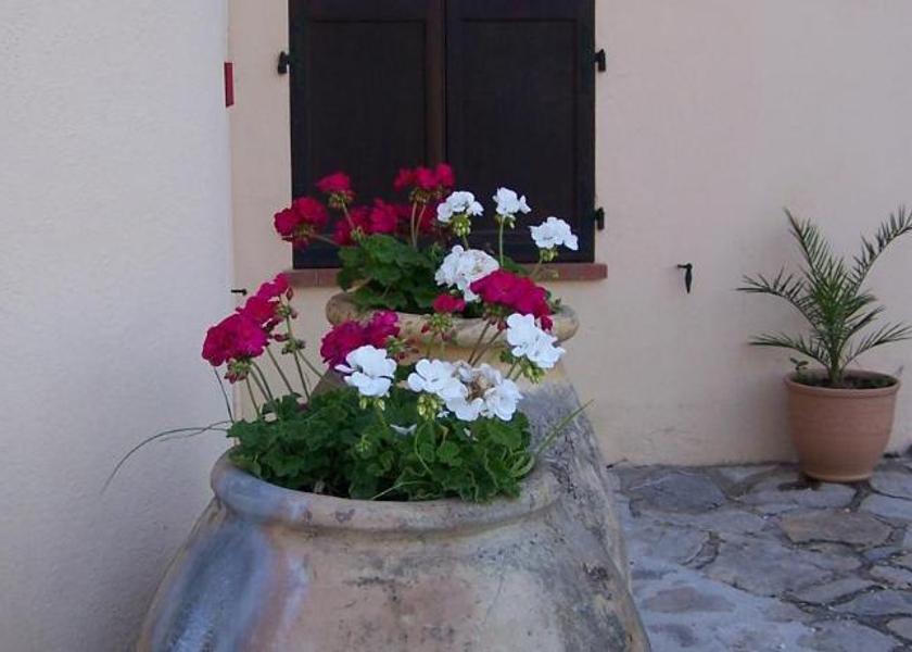 Provence-Alpes-Côte d'Azur Fayence 