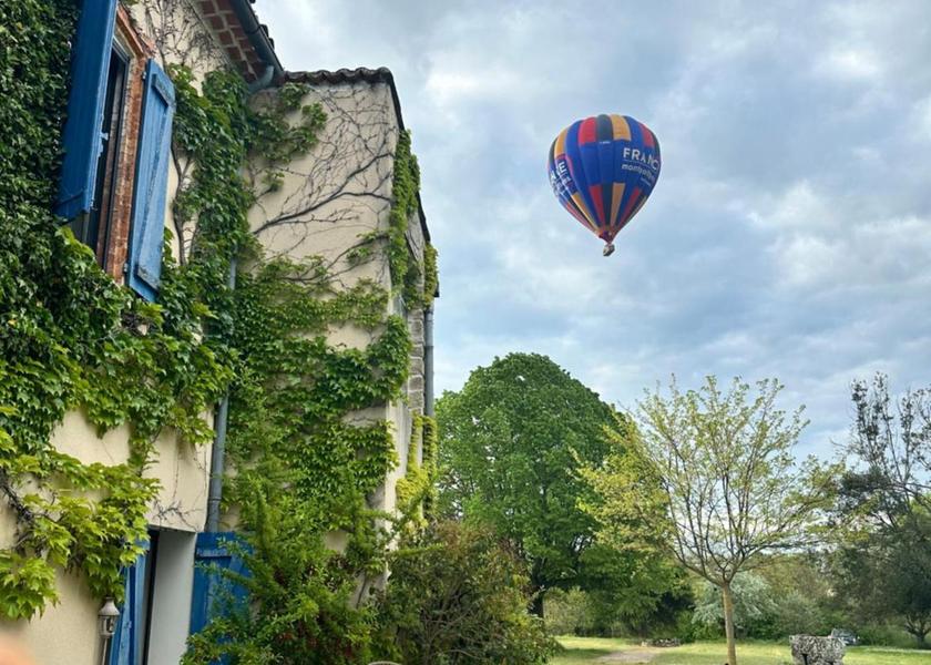 Provence - Alpes - Cote d'Azur Forcalquier garden