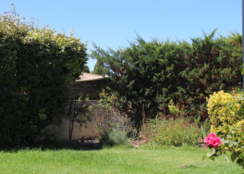 Occitanie Frontignan garden