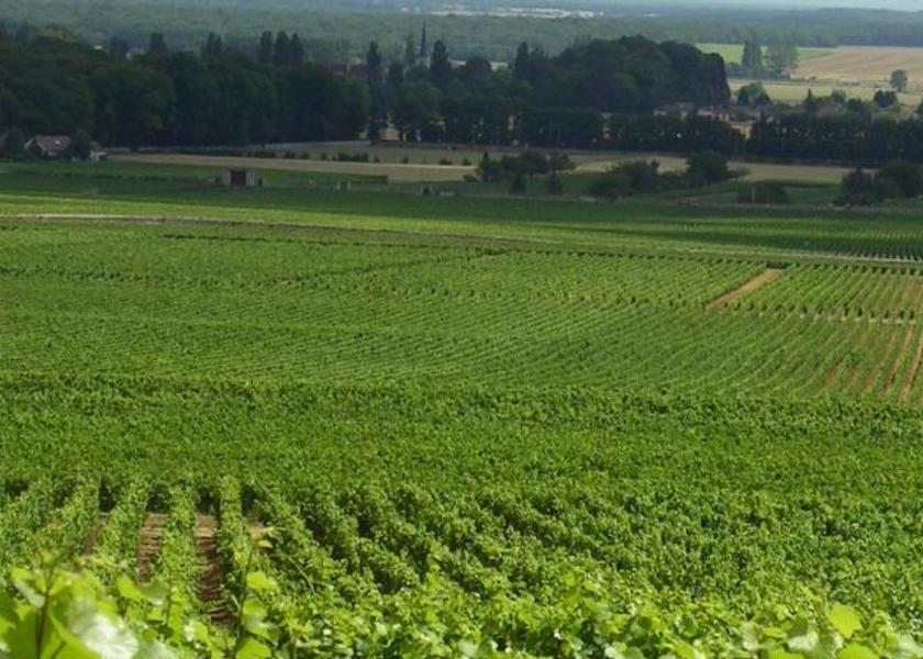 Bourgogne-Franche-Comté Gilly-les-Citeaux Facilities