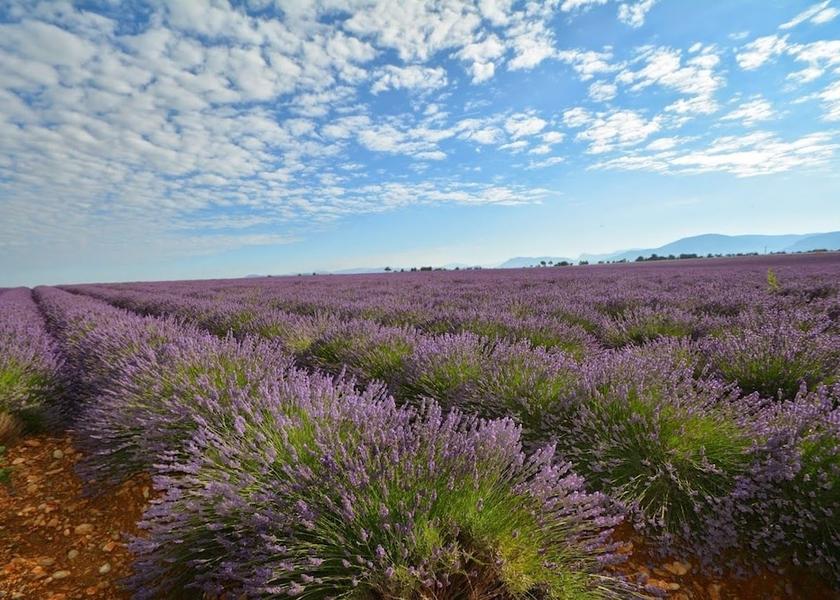 Provence-Alpes-Côte d'Azur Gréoux-les-Bains Point of interest