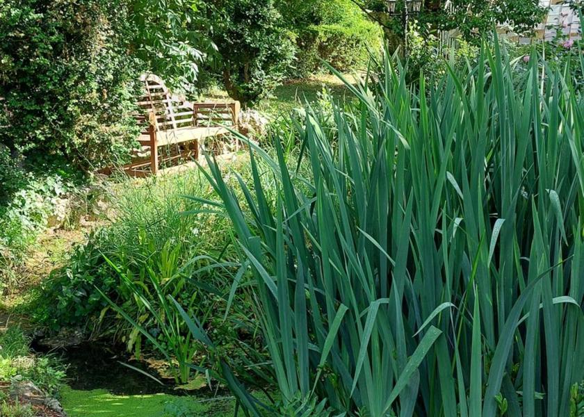 Nouvelle-Aquitaine La Couronne 