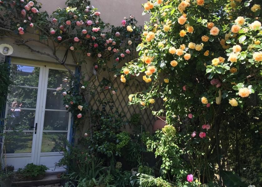 Pays de la Loire La Fleche garden