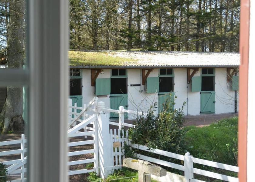 Normandy Lessay garden