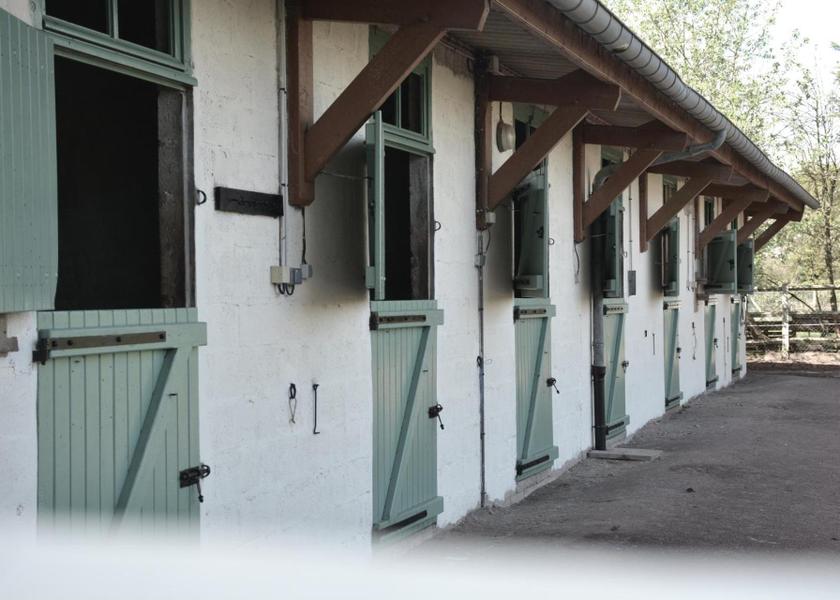 Normandy Lessay horseback riding