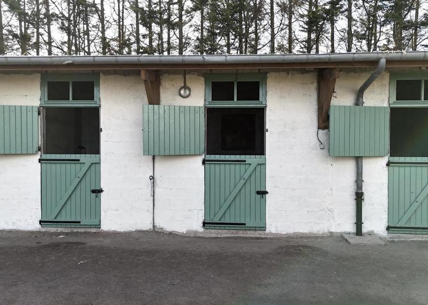 Normandy Lessay horseback riding