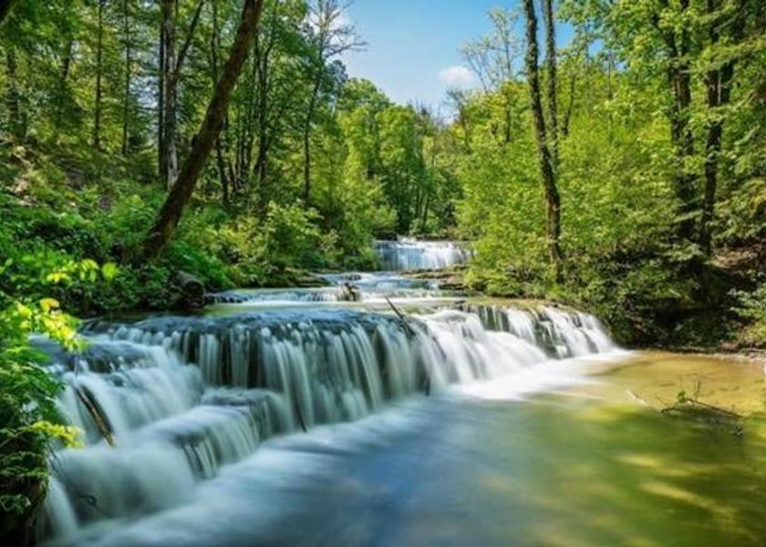 surrounding environment