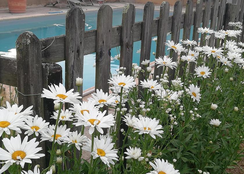 Nouvelle-Aquitaine Artassenx 