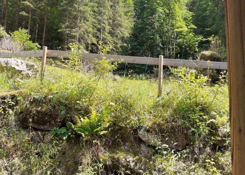 Auvergne-Rhone-Alpes Morzine 