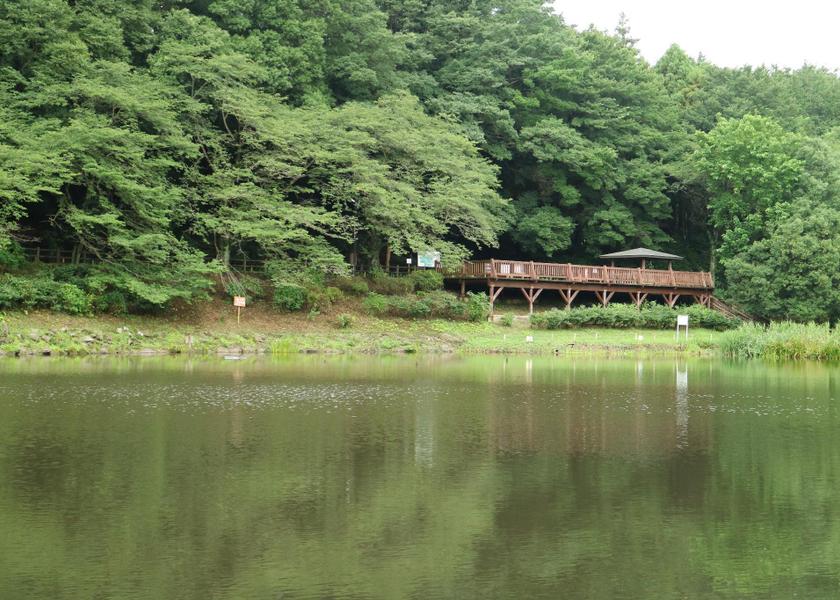 Kanagawa Yamato 