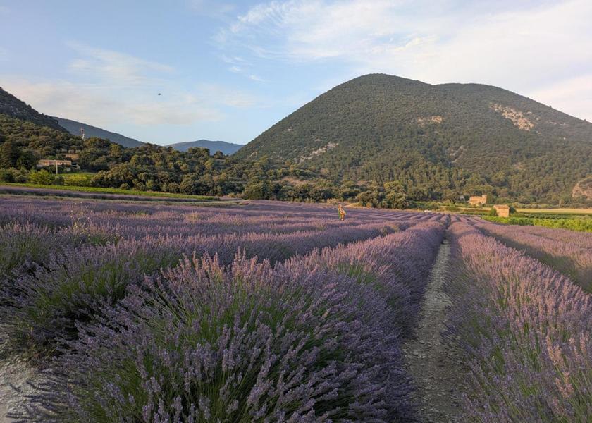 Auvergne-Rhône-Alpes Nyons surrounding environment