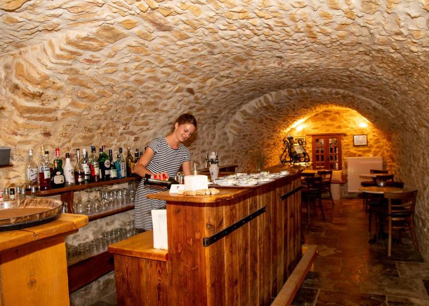 Auvergne-Rhone-Alpes Vallon-Pont-d'Arc bar/lounge