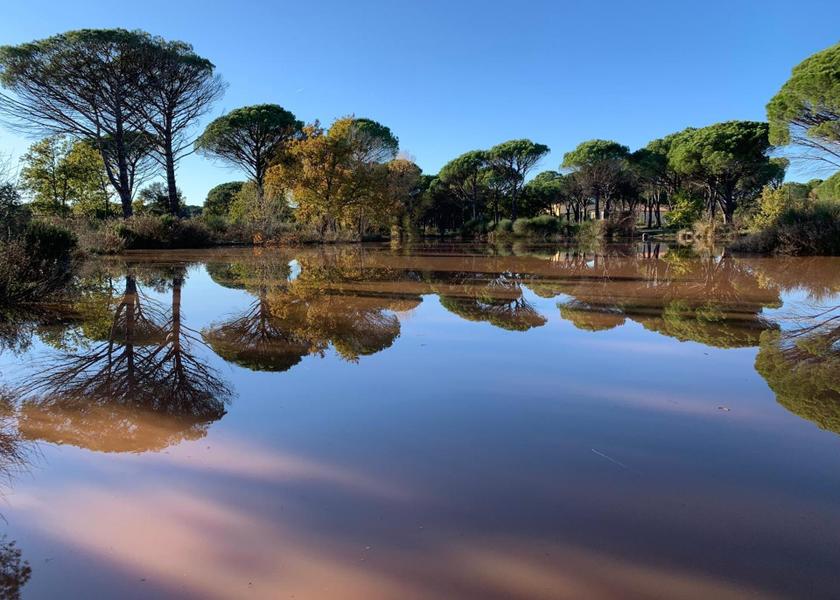 Provence - Alpes - Cote d'Azur Vidauban 