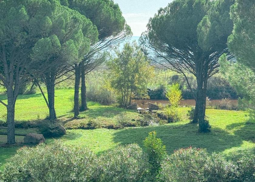 Provence - Alpes - Cote d'Azur Vidauban garden