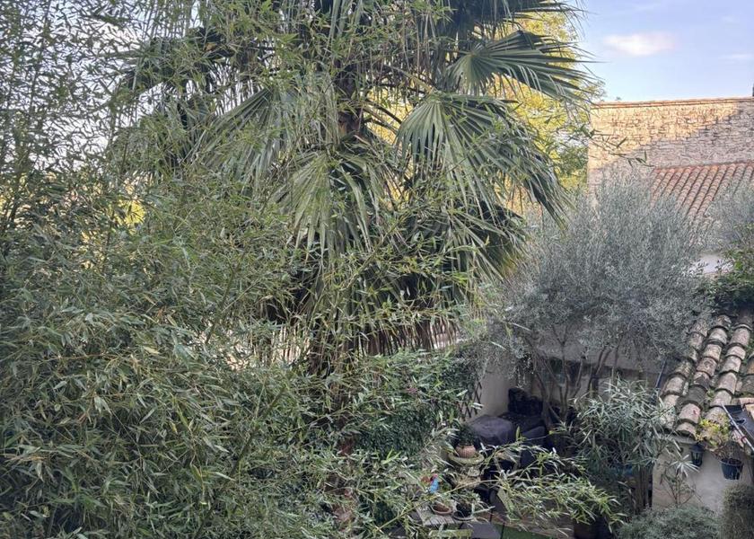 Occitanie Villeneuve-les-Avignon 