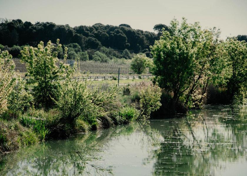 surrounding environment