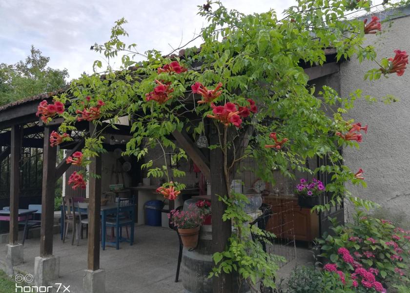 Grand Est Romilly-sur-Seine garden