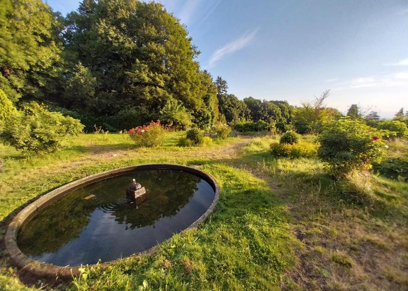 Auvergne-Rhone-Alpes Royat garden