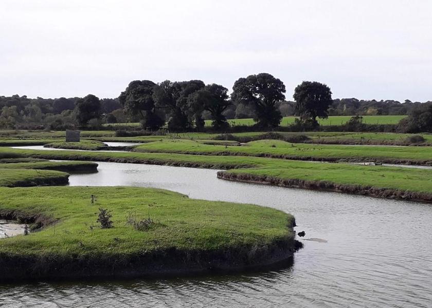 surrounding environment