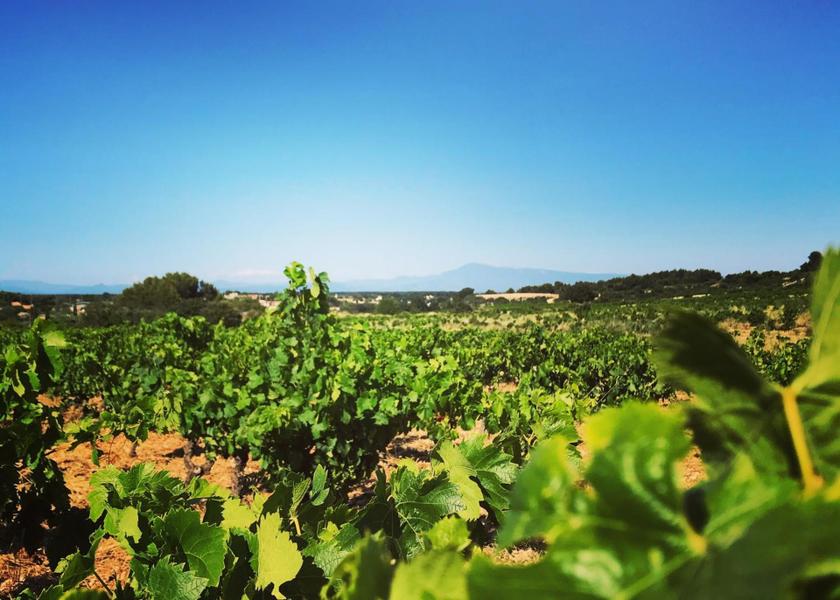 Occitanie Tavel sports and activities