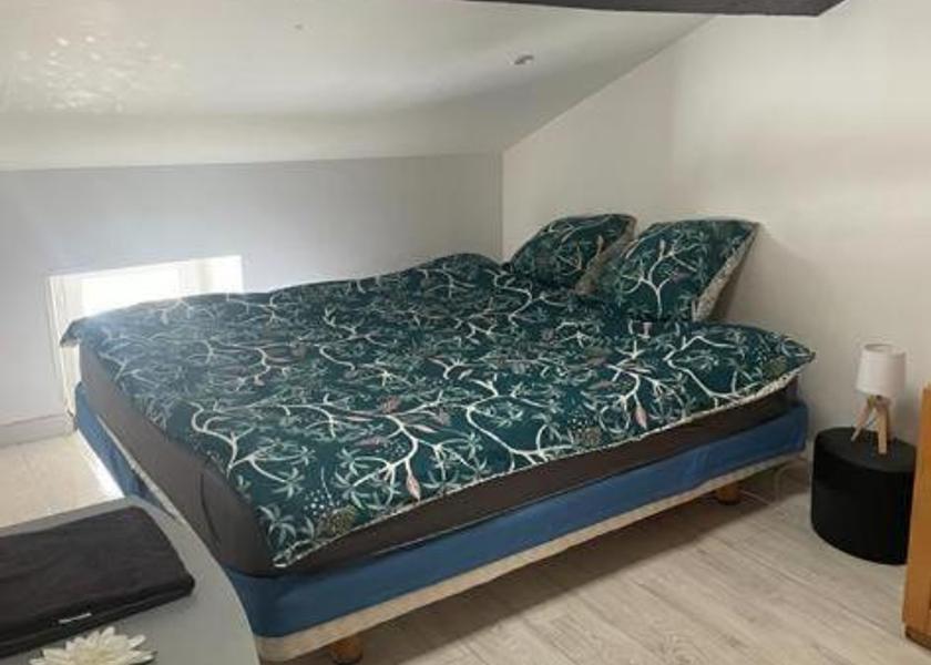 Auvergne-Rhône-Alpes Saint-Chamond Superior Apartment