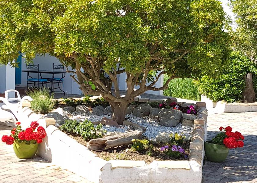 Provence-Alpes-Côte d'Azur Saintes-Maries-de-la-Mer garden