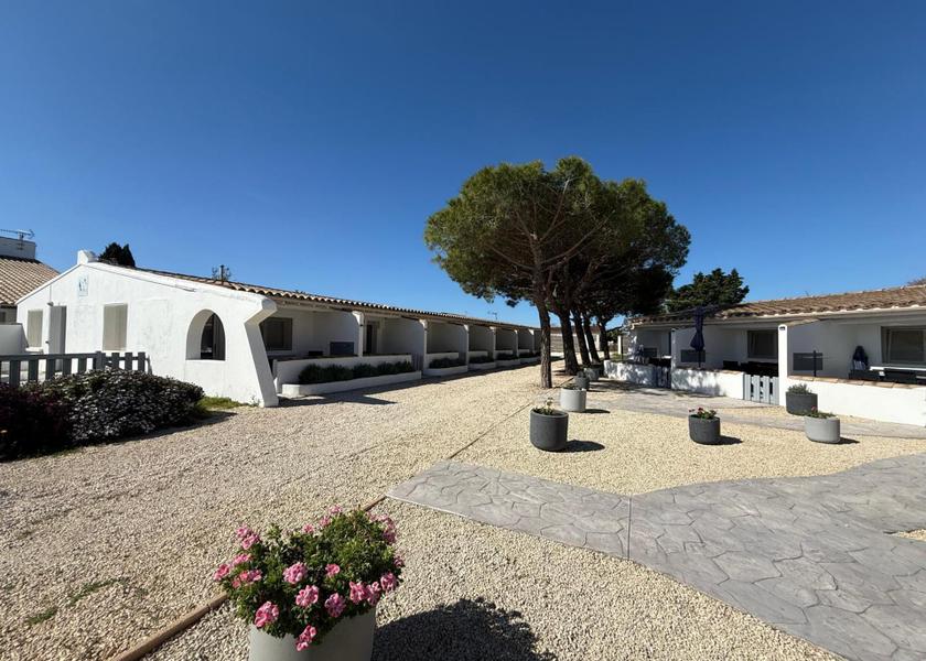 Provence-Alpes-Côte d'Azur Saintes-Maries-de-la-Mer Public Areas