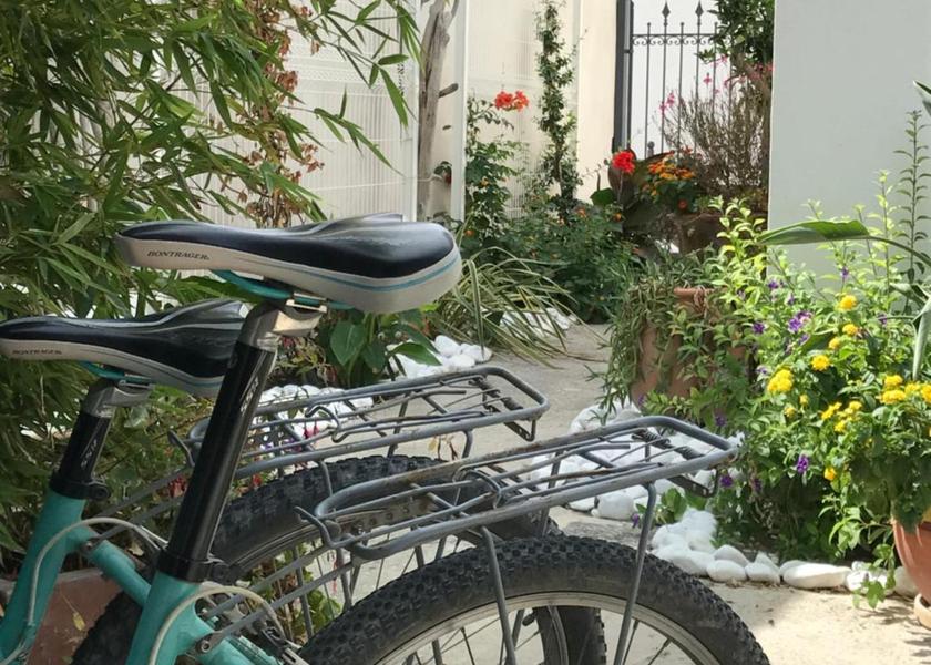Provence-Alpes-Côte d'Azur Saintes-Maries-de-la-Mer 