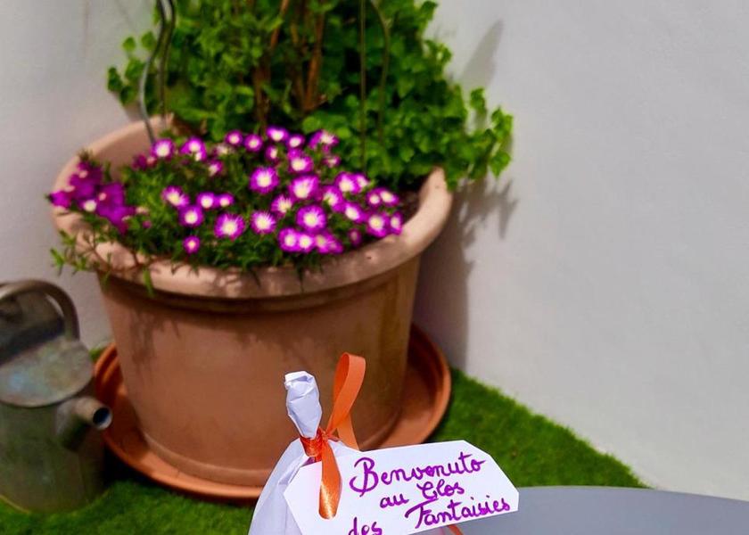 Nouvelle-Aquitaine Saint-Martin-de-Re facilities