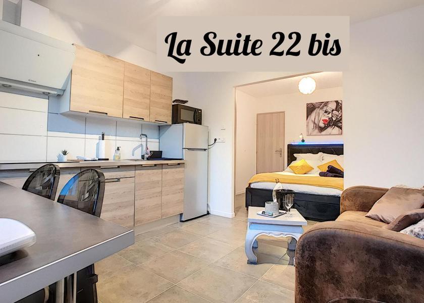 Pays de la Loire Saint-Sebastien-sur-Loire One-Bedroom Apartment - LA SUITE 22 BIS
