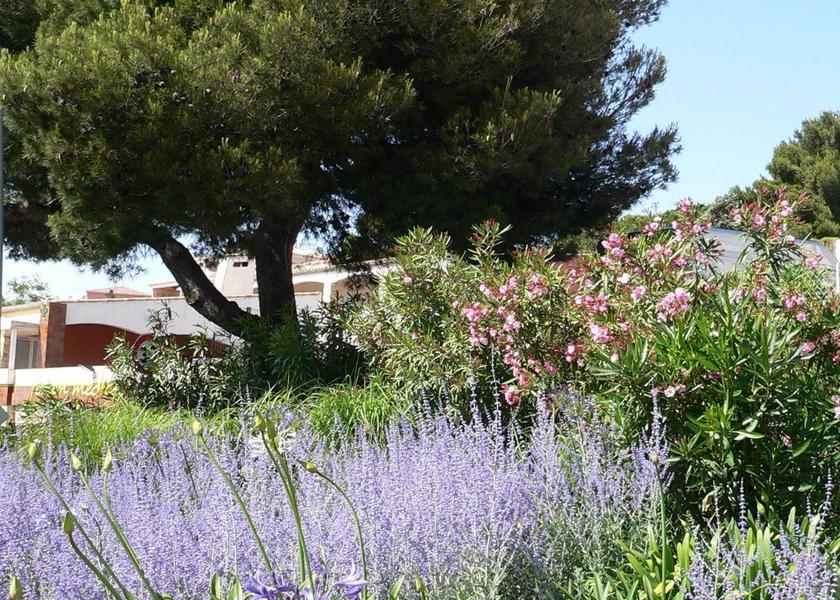 Occitanie Sète 