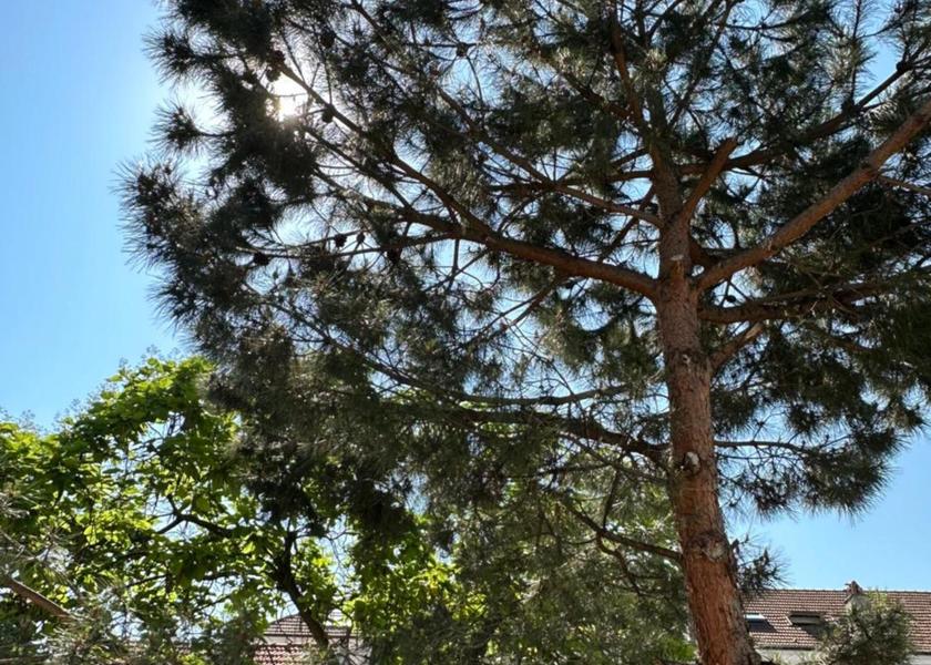 Ile-de-France Bois-Colombes 