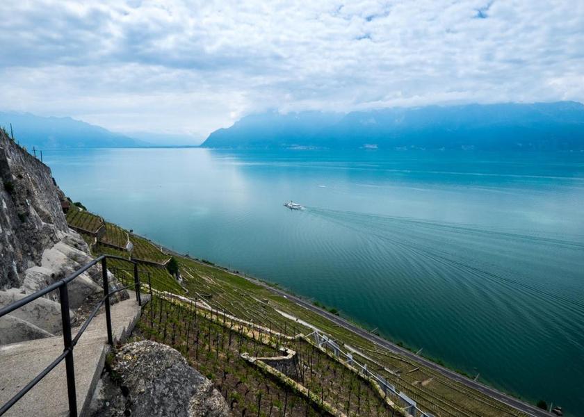 surrounding environment