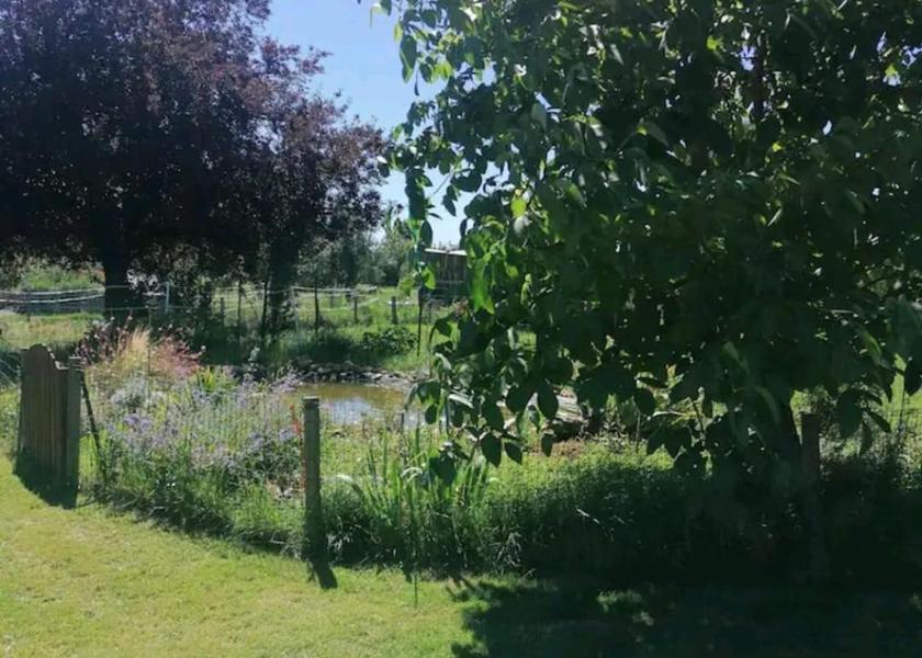 Nouvelle-Aquitaine Le Vigeant 