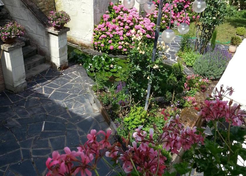 Pays de la Loire Montsoreau 