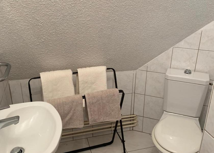 Grand Est Ribeauvillé bathroom