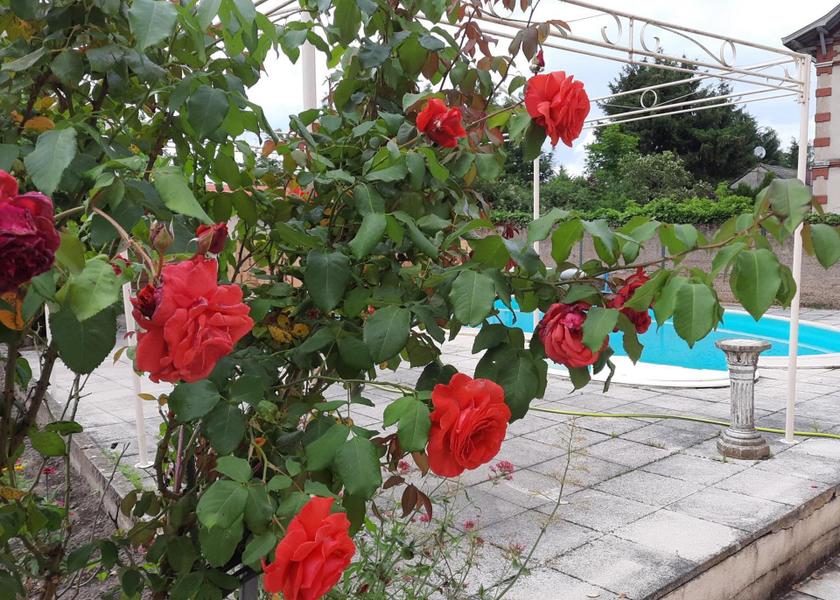 Bourgogne-Franche-Comte Montceau-les-Mines swimming pool