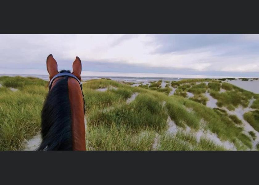 Ile-de-France Montreuil beach