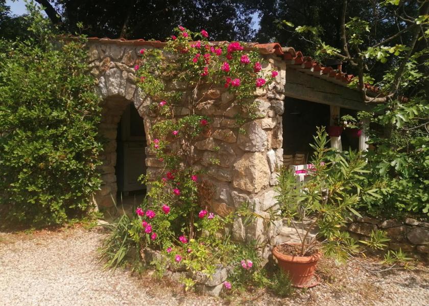 Provence-Alpes-Côte d'Azur Lorgues 