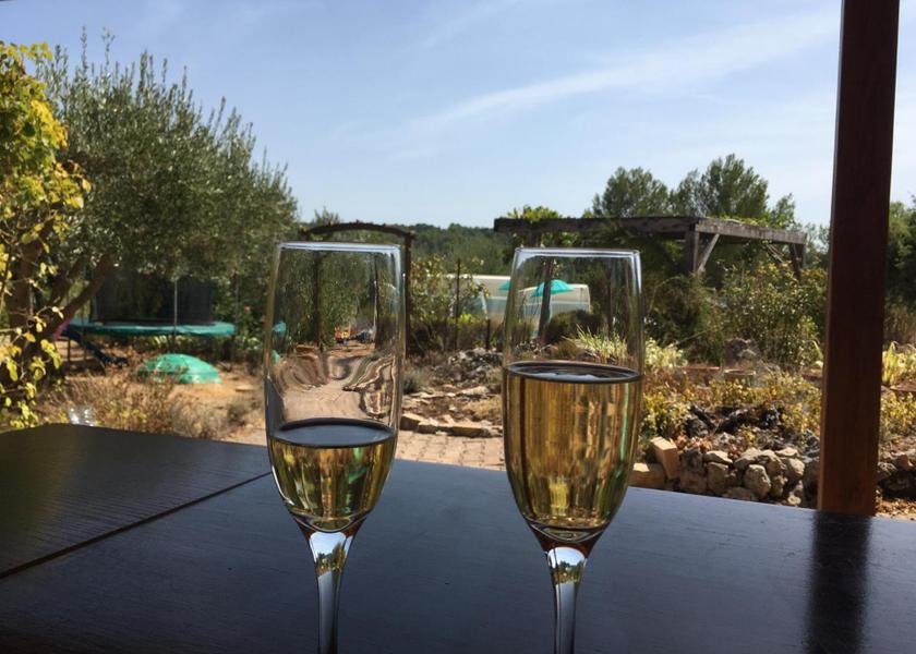 Provence-Alpes-Côte d'Azur Lorgues food and beverages