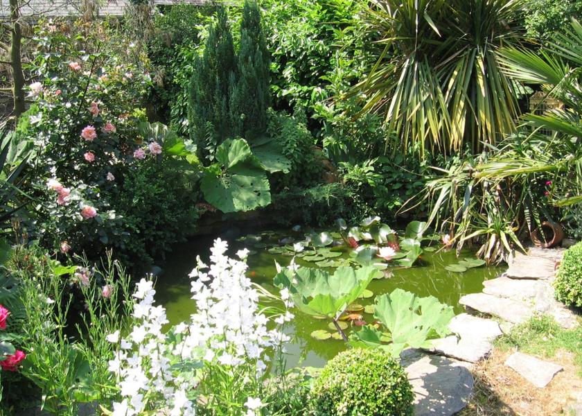 Brittany La Gacilly garden