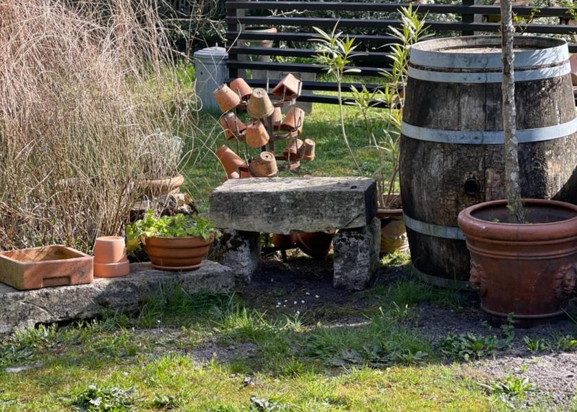 Nouvelle-Aquitaine Le Barp 