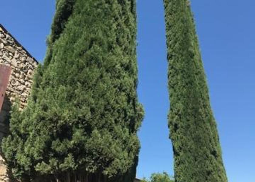 Provence - Alpes - Cote d'Azur Limans 