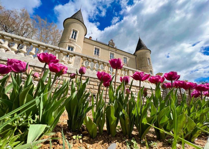 Occitanie Martel garden